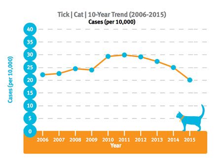 Banfield Report Shows Increase In Diabetes Dental Disease Decrease In Heartworm