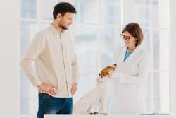 Key advances in veterinary oncology