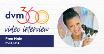pam hale interview