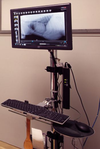 10_Veterinary-Associates-of-Cape-Cod_19-X-Ray-body.jpg