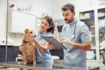 Dave & Cheryl Duffield Foundation commits $250 million to expand veterinary care access