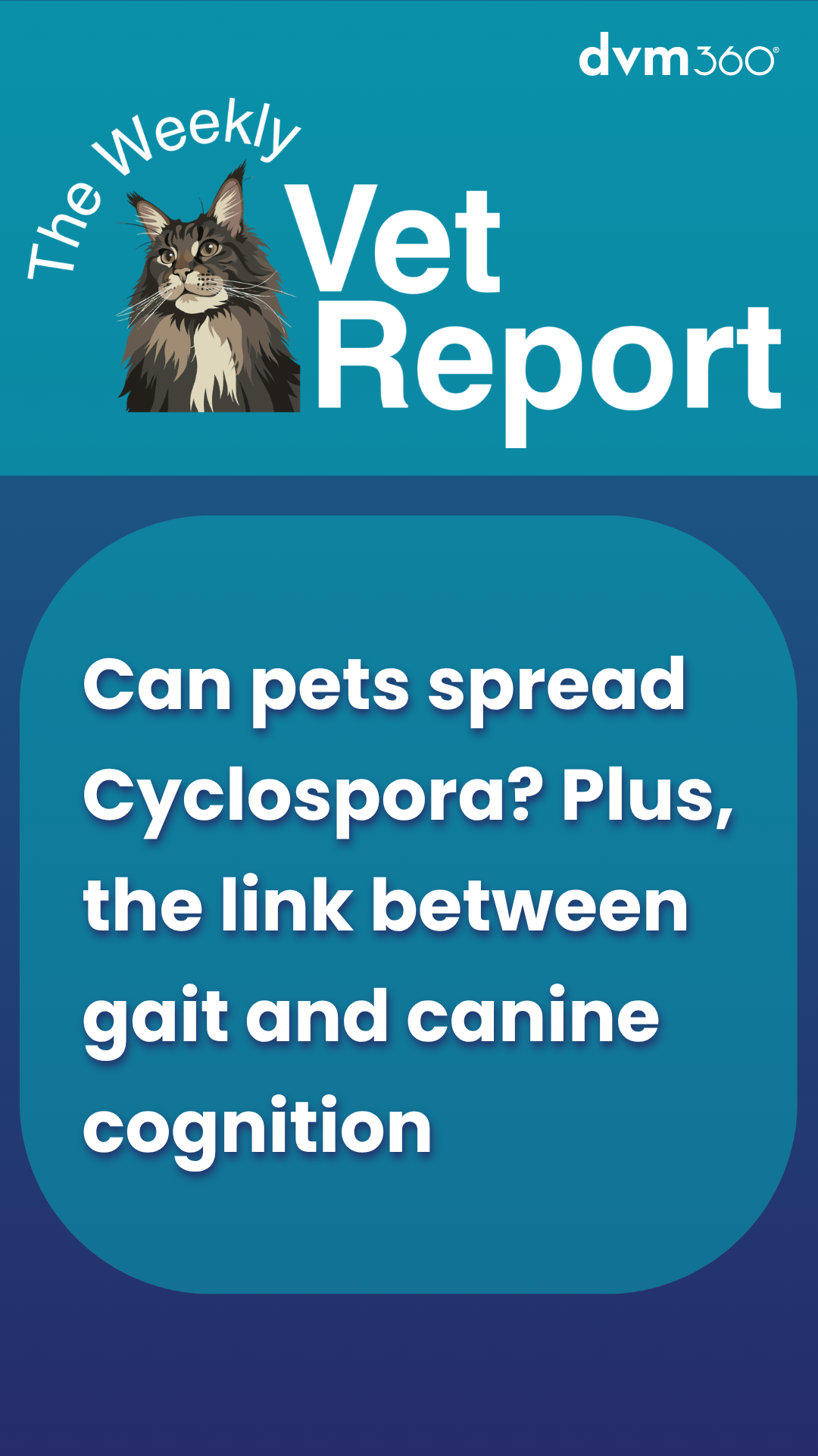 Weekly Vet Report: Can pets spread Cyclospora? Plus, the link between gait and c...