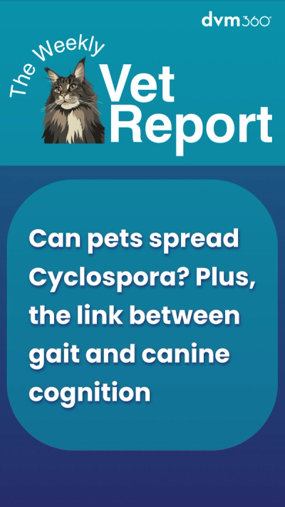 Weekly Vet Report: Can pets spread Cyclospora? Plus, the link between gait and canine cognition