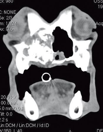 i4-380873-1384759426500.jpg