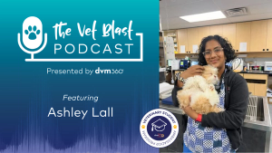 Navigating veterinary school and overcoming barriers