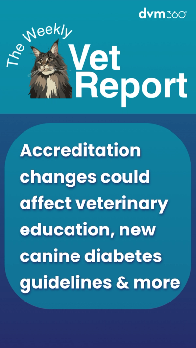 Weekly Vet Report: Accreditation changes could affect veterinary education, new canine diabetes guidelines & more