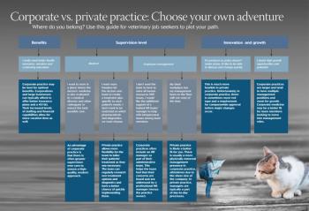 corporatepracticealgorithm1004.jpg