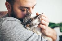 Researchers to study the human-animal bond in trauma recovery, feline separation behavior, and remote canine-assisted therapy