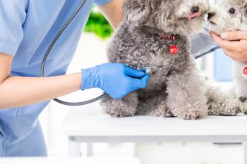 Image Credit: © ryanking999 - stock.adobe.com