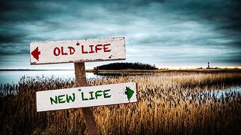 veterinary-wooten-new-life-AdobeStock_290442694-450.jpg