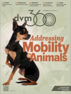 dvm360 September 2023