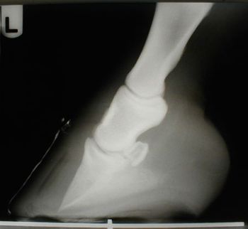 floyd_dvm1211_Fig3_450-750711-1384171747369.jpg