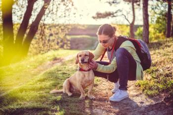 How to talk with clients about year-round flea and tick protection as temperatures drop