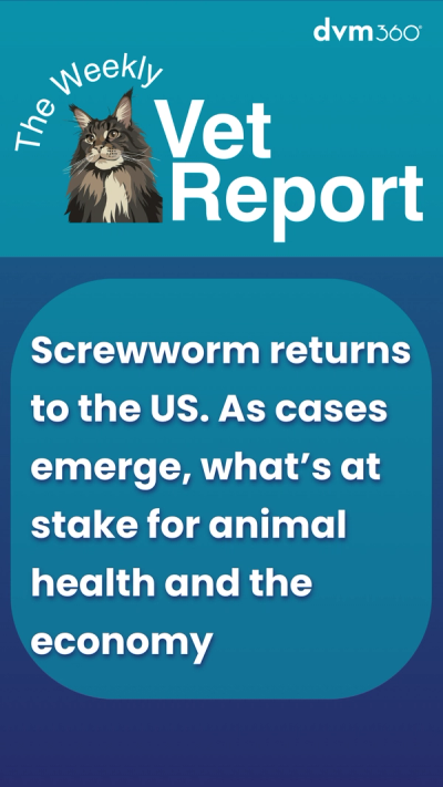 Weekly Vet Report: Screwworm is back in the US. As cases emerge, what's at stake for animal health and the economy