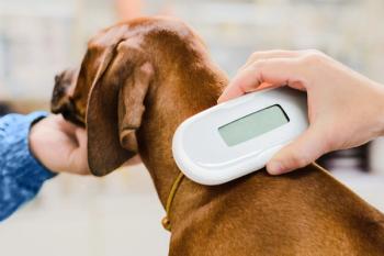 Pet microchip