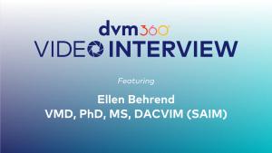 Should cats on an SGLT2 inhibitor go on a special diet?