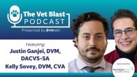 Strategic advancements in wound therapy:  Evidence-based pathways