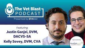 Strategic advancements in wound therapy:  Evidence-based pathways