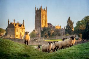 The great British veterinary school: Living in the UK for veterinary school