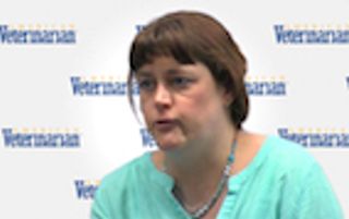 Shelter Pain Management: What Do Veterinarians Usually Treat?