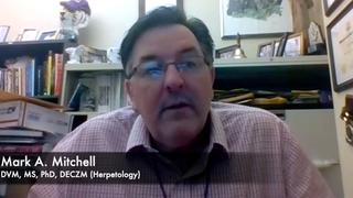 Histories and physical exams for reptiles: don't get complacent