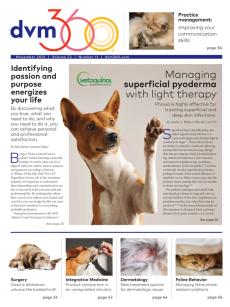 dvm360 November 2021