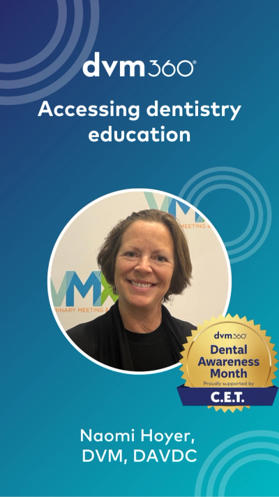 Accessing dentistry education