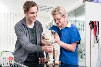 dog taken cared of by veterinarian with owner