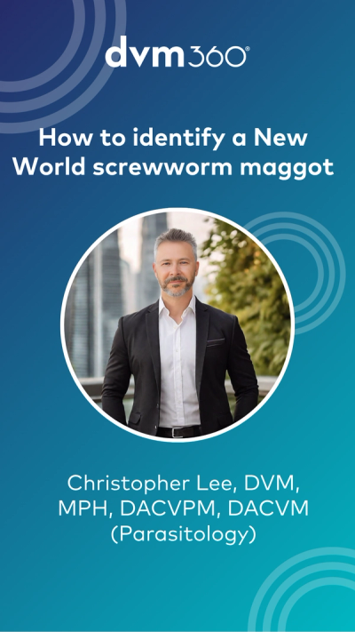 How to identify a New World screwworm maggot