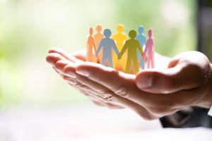 Practical solutions to combat racial disparities within veterinary medicine