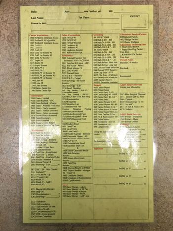 laminate-450.jpg