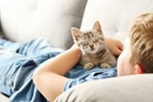 Childhood Cat Ownership May Result in the Development of Schizophrenia