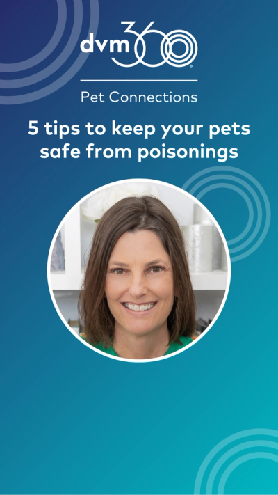 Five tips to help keep your pets safe from poisonings