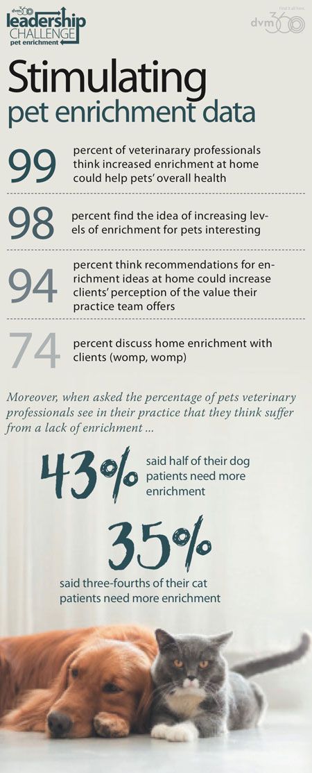 veterinary-dvm360-1117-1-450.jpg