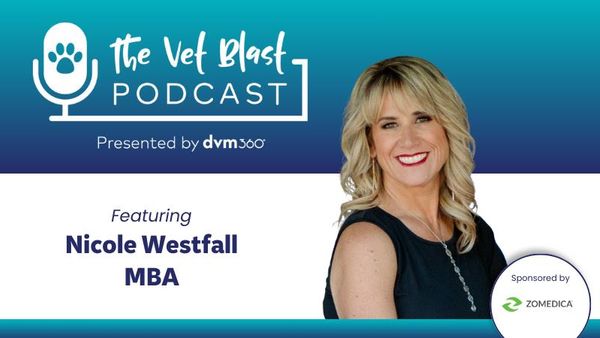 Modern therapies for patients with chronic pain