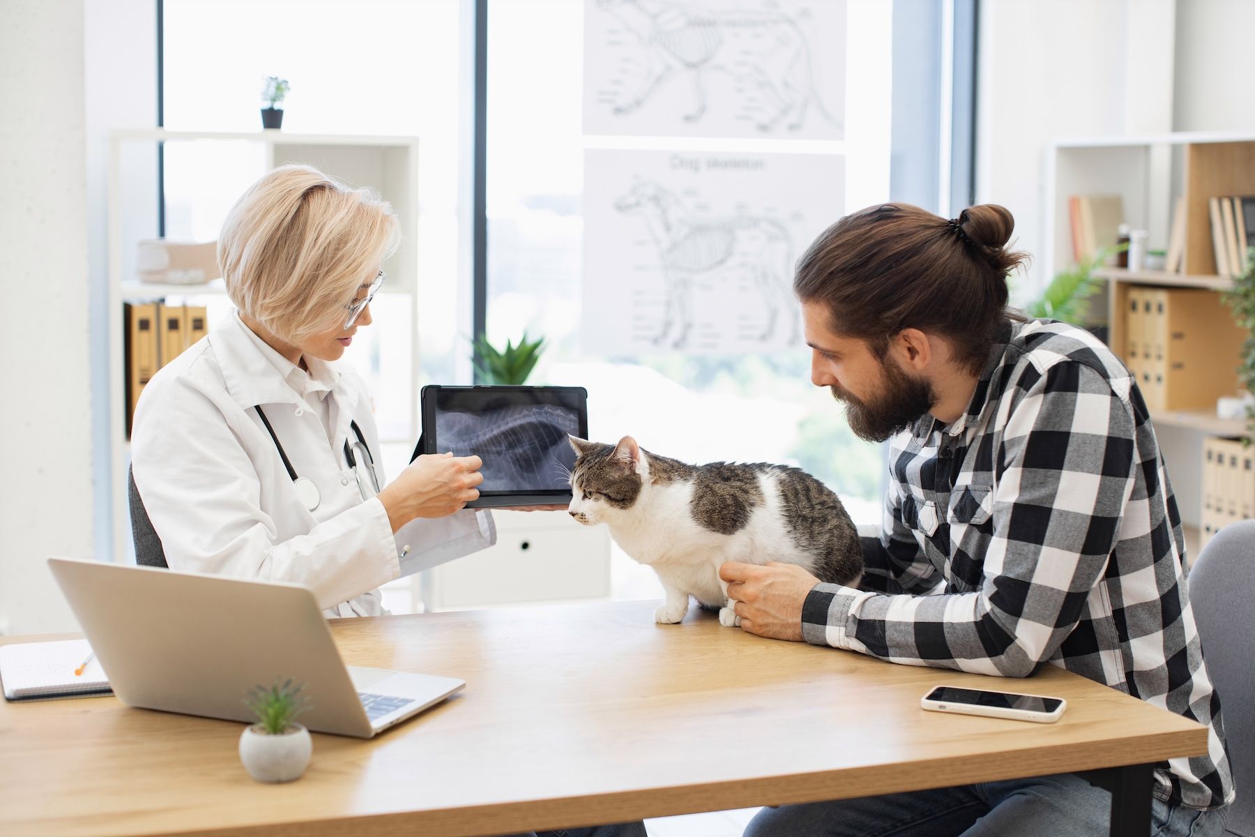 Veterinary client