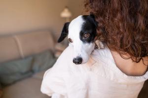 Supporting survivors and pets during Domestic Violence Awareness Month