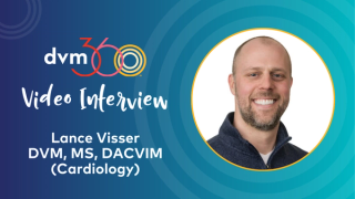 Using radiographic measurements to assess patient heart size