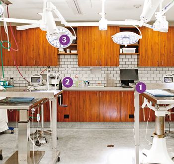 veterinary_HunterdonHills3_HD_2015_450.jpg