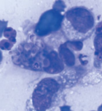 veterinary_VetM0912_histoplasmosis-787083-1384159328406.jpg
