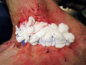 veterinary_bandage_2-613209-1384501181673.jpg