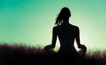 450veterinary-female-relaxing-in-a-open-field-shutterstock-390731710.jpg