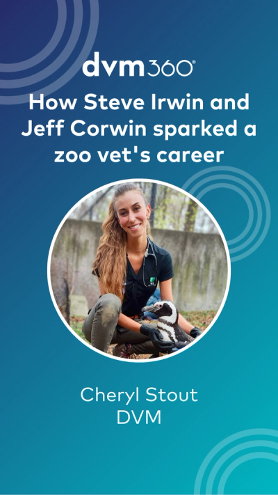 How Steve Irwin and Jeff Corwin sparked a zoo vet's career