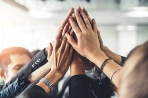 veterinary team building