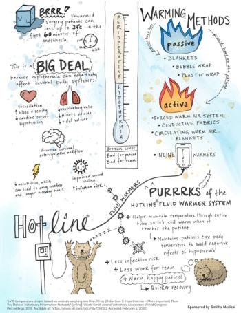 smiths medical doodle hypothermia
