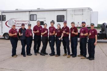 VET team NWS