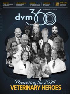 dvm360 November 2024