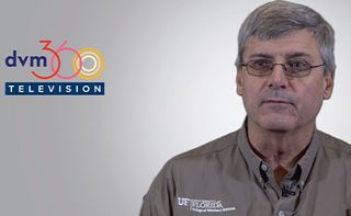 ACVC 2019: Why you shouldn't cut ultrasound training short