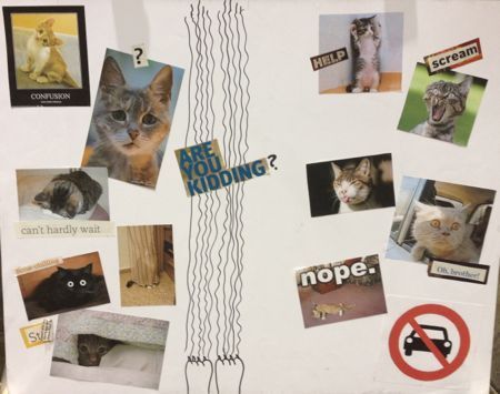 5catposter-818441-1404220955544.jpg