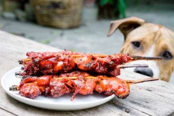 Photo: tiverylucky/Adobe Stock
